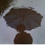 My Rain Drops