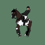 ::forest view equine::