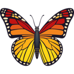 The Ultimate ButterFly