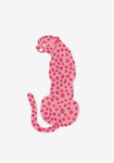 PINK CHEETAH DANCE ACADEMY (PCDA)