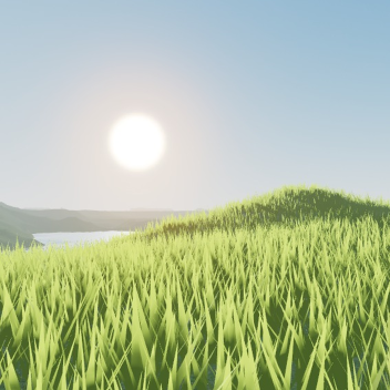field 