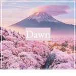 +~Dawn~+