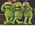 The frog group!
