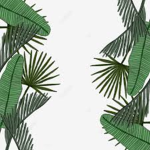 Tropical clothing stores