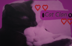 -"Cat_Clan"-