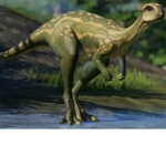 The Dryosaurus Cult