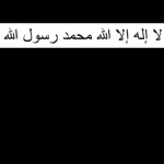 أنصار الإسلام