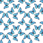 butterfly bebes