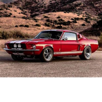 Mustang Gang Kids