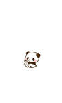 panda every day