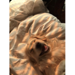Glowing bebz