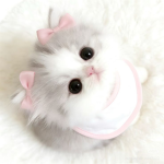 swessy's kittens