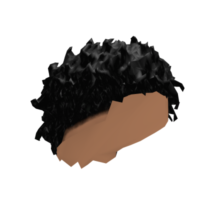 curly styled hair with fade Roblox item
