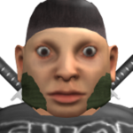 Experimental SM