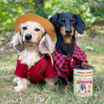 The Crusoe Fan Group