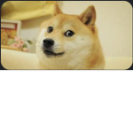 Doge power of friendship