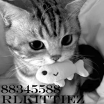 rlkittiez