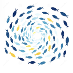 ~Fish Kindgom~