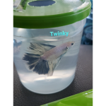 Twinky Fan Club