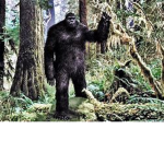 bigfoot official group