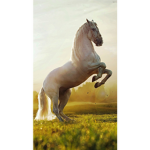best horse group