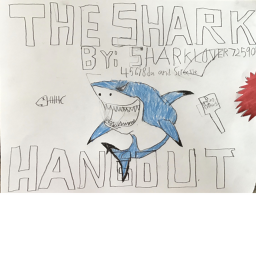 The Shark HANGOUT!