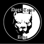Dogs Domn