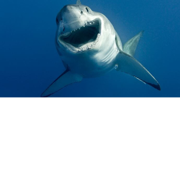 田教官想打陳教官卻還泡槍模擬器