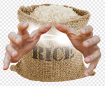 SACK OF RICE praising group