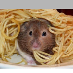 RattySpaghetti