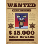FundRaiser Racoon Gang