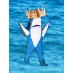 Sharks united!!!: