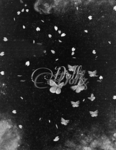 - Dollz -