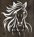 Cocoa Riding Academy
