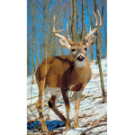 Big buck hunters club
