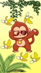 Monkey guys fan club