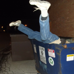 Dumpster Divers