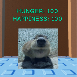 raise a capybara