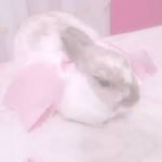 - Gabby's apperal -