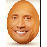Dwayne Johnson the rock