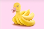 duck gang that is cool