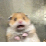 ANNOYING BROKE RATS