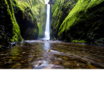 Nature's Touch