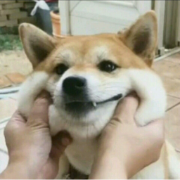 你们先玩吧