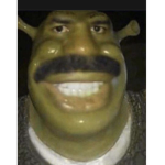 THE SHREK MAFIA SWAMP