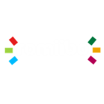 The Romiibo Company