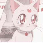 sakura cafe <3