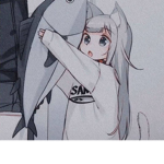 {Sharky's￦¥￦}