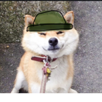 ELITE DOGE’S ARMY