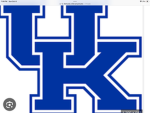 Kentucky Wildcats fans